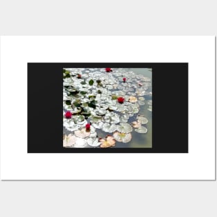 lily Pond Silvered by the Sun Posters and Art